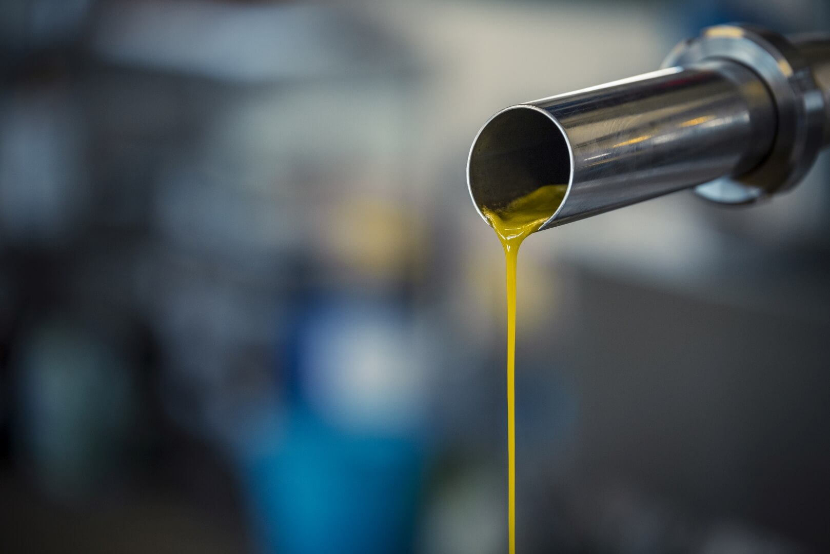 Oliwa z oliwek: wartości odżywcze, rodzaje i właściwości